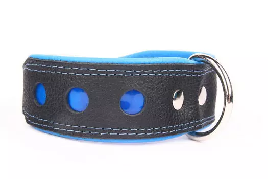 ZOOLESZCZ Ошейник для собак "NEO Reflective", черно-голубой, 50х4см