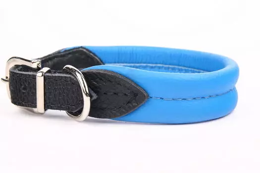 ZOOLESZCZ Ошейник для собак "Soft", голубой, 50х2.5см