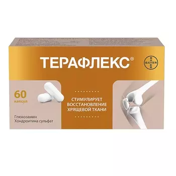 Терафлекс капсулы 60 шт