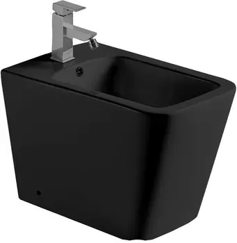 Биде напольное WeltWasser Gelbach 003MT-BL