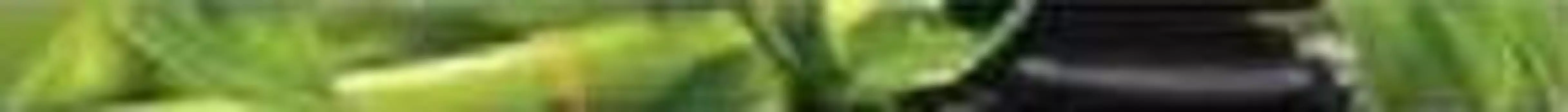 Бордюр Golden Tile Релакс зеленый 3х40