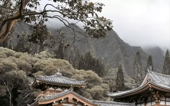 Декор Golden Tile Бамбук 1 25х40