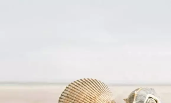 Декор Golden Tile Саммер Стоун бежевый 1 25х40