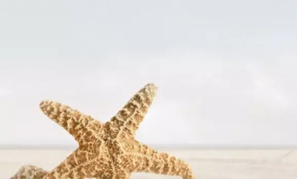 Декор Golden Tile Саммер Стоун бежевый 3 25х40