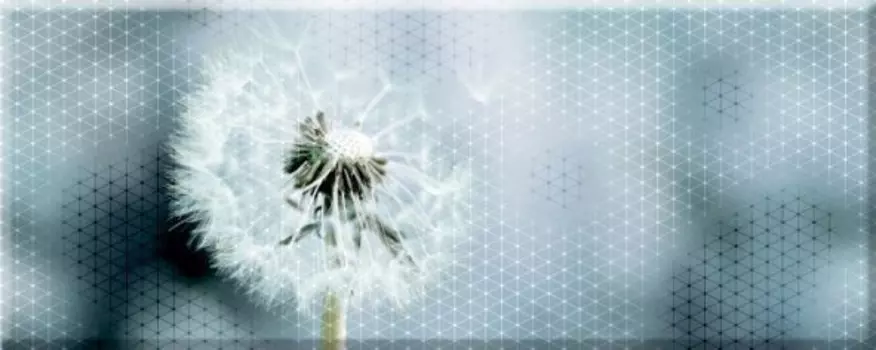 Декор Керамин Концепт 7О тип 1 Одуван