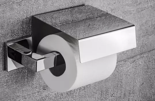 Держатель туалетной бумаги Colombo Design BasicQ B3791
