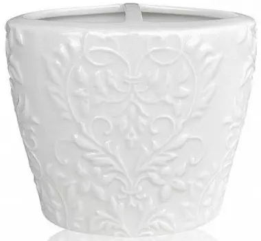 Держатель зубных щеток Kassatex Parisian APA-TBH-W