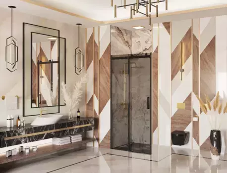 Душевая дверь 120 см Ambassador Benefit 19022201HBB тонированное