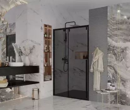 Душевая дверь 120 см Ambassador Intense 110022201IBB тонированное