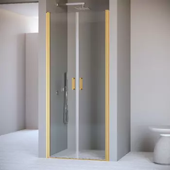 Душевая дверь 120 см RGW PA-104Gb Passage 060810412-16 прозрачное