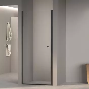 Душевая дверь 70 см RGW TN-03B Dolphin 54930307-14 прозрачное