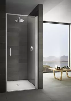 Душевая дверь распашная 80 см прозрачное стекло Provex Look 0003LN05GL