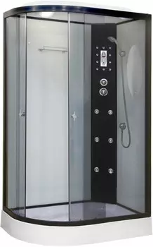 Душевая кабина 120x80x220 см Niagara NG-1903-01R тонированное