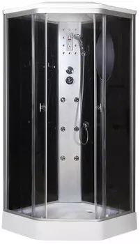 Душевая кабина 90х90х220 см Niagara 5060134 тонированное
