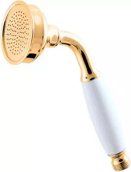 Душевая лейка Rav Slezak KS0017Z