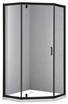 Душевой уголок 100x100 см Rush Palm PI-A1100100black прозрачное