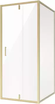 Душевой уголок 100x110 см Niagara NG-43-10AG-A110G прозрачное