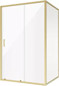 Душевой уголок 120x90 см Niagara NG-42-12AG-A90G прозрачное