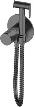 Гигиенический душ AltroBagno Beni aggiuntivi BM 060404 GrMt с термостатом, оружейная сталь