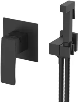 Гигиенический душ Raglo R01.53.06 со смесителем, черный матовый