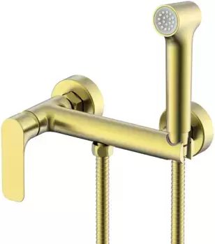 Гигиенический душ Raglo R03.51.03 со смесителем, золотой матовый