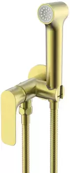 Гигиенический душ Raglo R03.52.03 со смесителем, золотой матовый