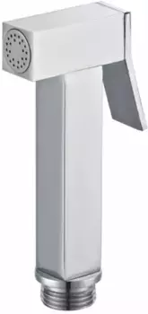 Гигиенический душ Raglo R460.04 хром