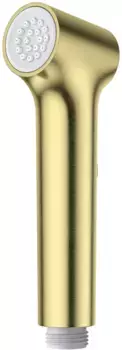 Гигиенический душ Raglo R460.05.03 золотой матовый