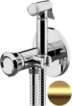 Гигиенический душ Remer Element ET65BG со смесителем, золотой матовый