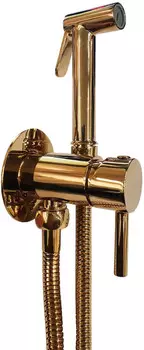Гигиенический душ Paffoni Tweet Round Mix ZDUP110HG со смесителем, золотой