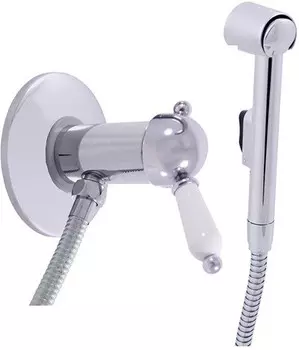Гигиенический душ Rav Slezak Labe L547/1 со смесителем, хром