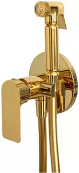 Гигиенический душ Remer Infinity I65DO со смесителем, золотой