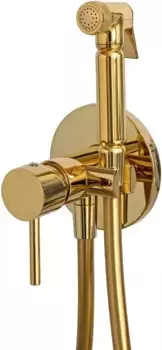Гигиенический душ Remer X Style X65DO со смесителем, золотой