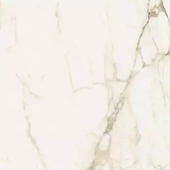 Керамогранит Coliseum Gres Микеланджело Ворм 60X60 Рет 610010002748