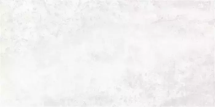 Керамогранит MEDAN светло-серый Ретт. 120х60