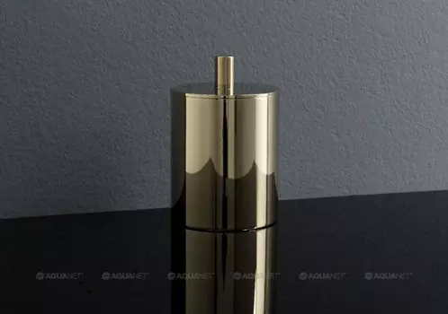 Косметическая ёмкость Aquanet 8187-GP
