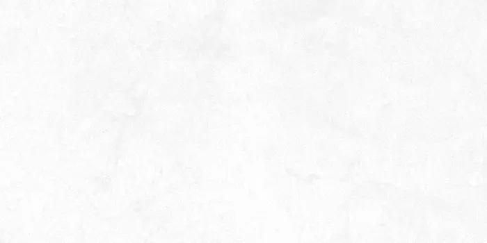 Мегаполис светло-серая 25Х50