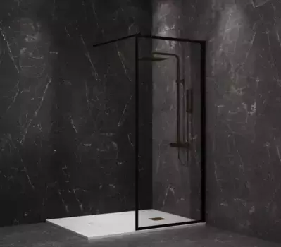 Неподвижная перегородка 100 см Paini PAINI-WalkIN100F прозрачное