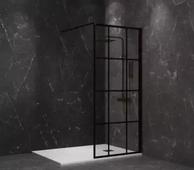 Неподвижная перегородка 100 см Paini PAINI-WalkIN100G прозрачное