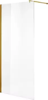 Неподвижная перегородка 110 см Niagara NG-643-11GOLD прозрачное