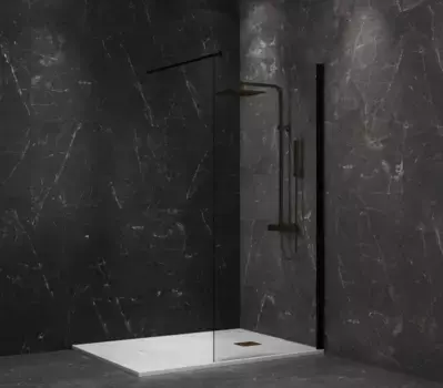 Неподвижная перегородка 80 см Paini PAINI-WalkIN80C прозрачное