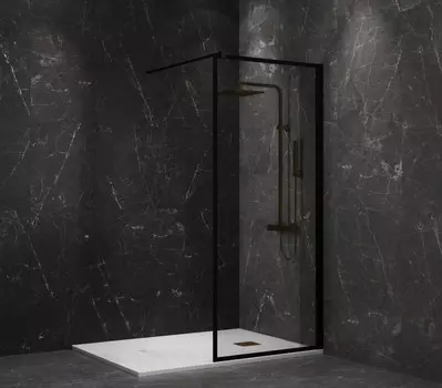 Неподвижная перегородка 80 см Paini PAINI-WalkIN80F прозрачное