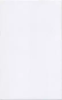 Плитка 6397 Ломбардиа белый 25x40