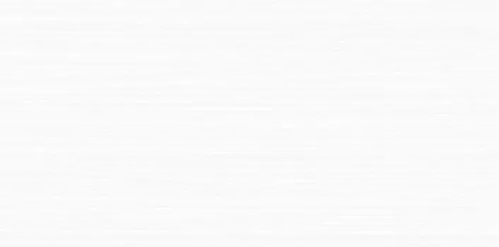 Плитка Элара Бьянка 40.5x20.1