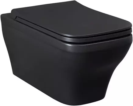 Унитаз подвесной Allen Brau Infinity 4.21011.31 безободковый, черный матовый