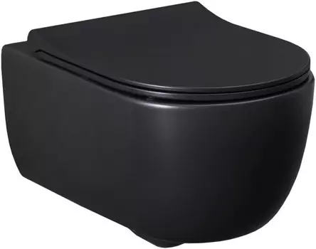 Унитаз подвесной Allen Brau Priority 4.31001.31 безободковый, черный матовый