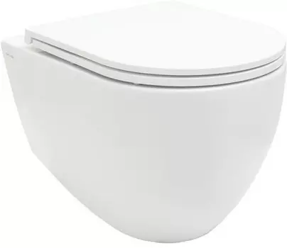 Унитаз подвесной Allen Brau Reality 4.32006.20 безободковый, белый