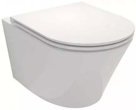 Унитаз подвесной Jacob Delafon Rodin+ EDY102-00 безободковый, белый