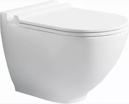 Подвесной безободковый унитаз с функцией биде с сиденьем микролифт Bien Harmony HRKA052N1VP1W3000