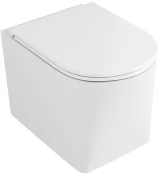 Подвесной безободковый унитаз с сиденьем микролифт OWL 1975 Curve OWLT190802